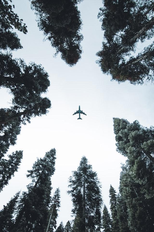 Bäume im Kreis und in der Mitte ein Flugzeug
