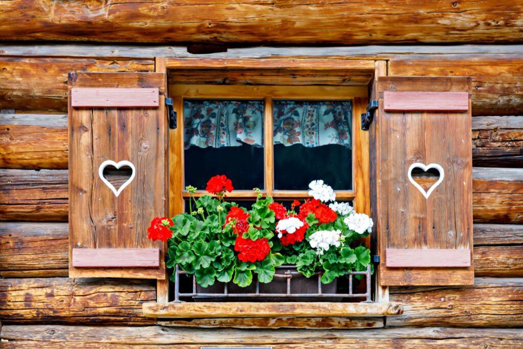 Typisches bayerisches oder österreichisches Holzfenster mit roten Geranienblüten an einem Haus in Österreich 