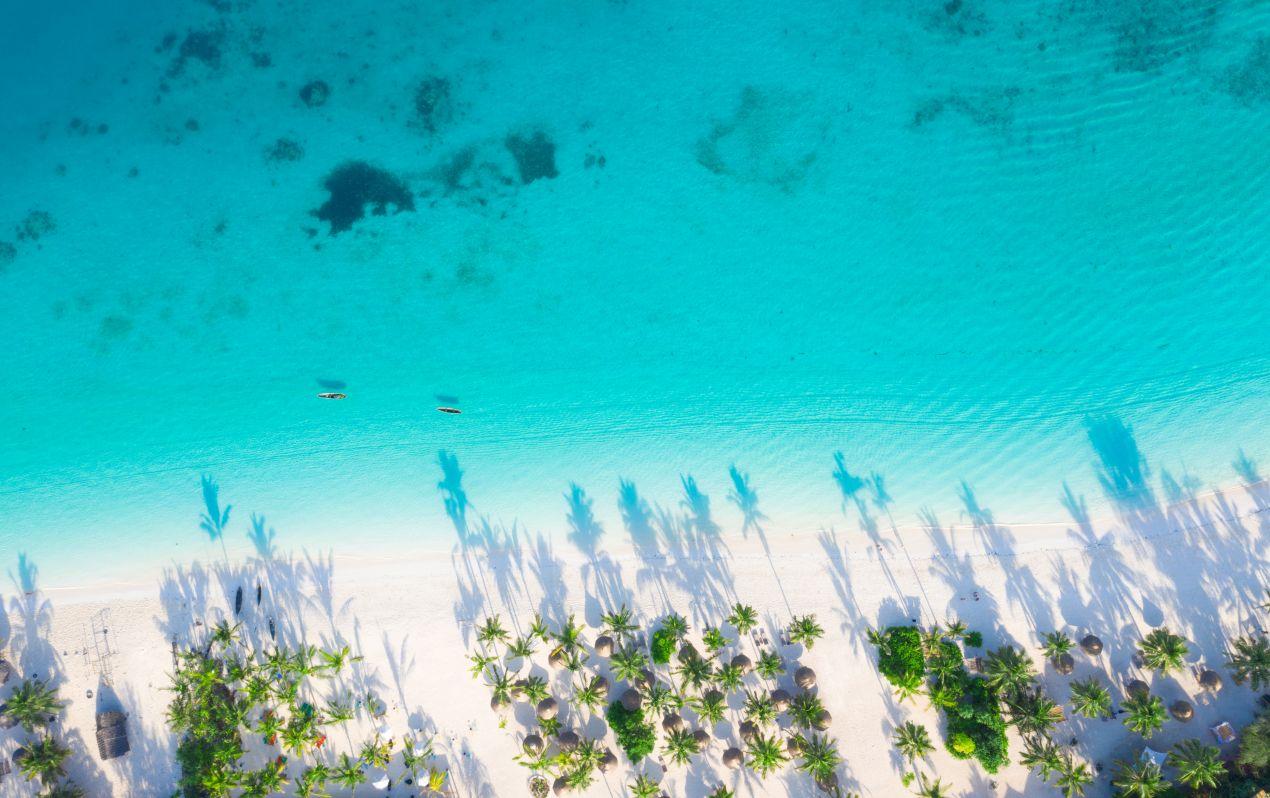 Türkisblaues Wasser und palmengesäumte Strände auf Sansibar – ein perfekter Abschluss nach einer Tansania Safari in Afrikas Wildnis.