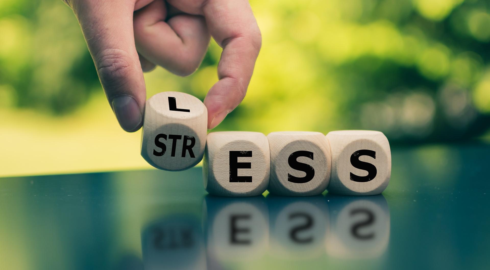 Würfel ändern Stress zu Less | Alltagsbegleiter Ausbildung