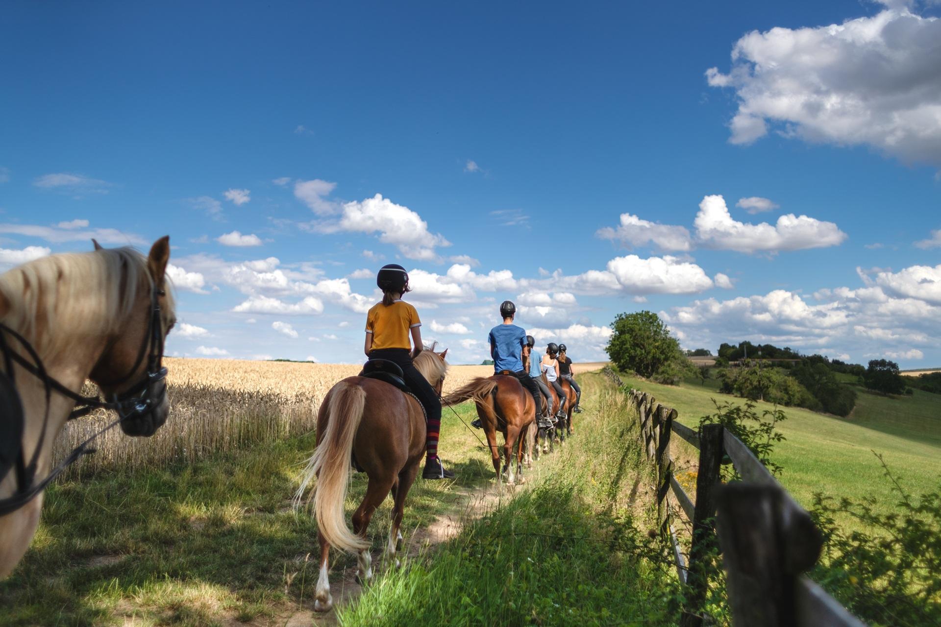 Urlauber reiten auf Pferden durch Natur | Agriturismo Sardinien