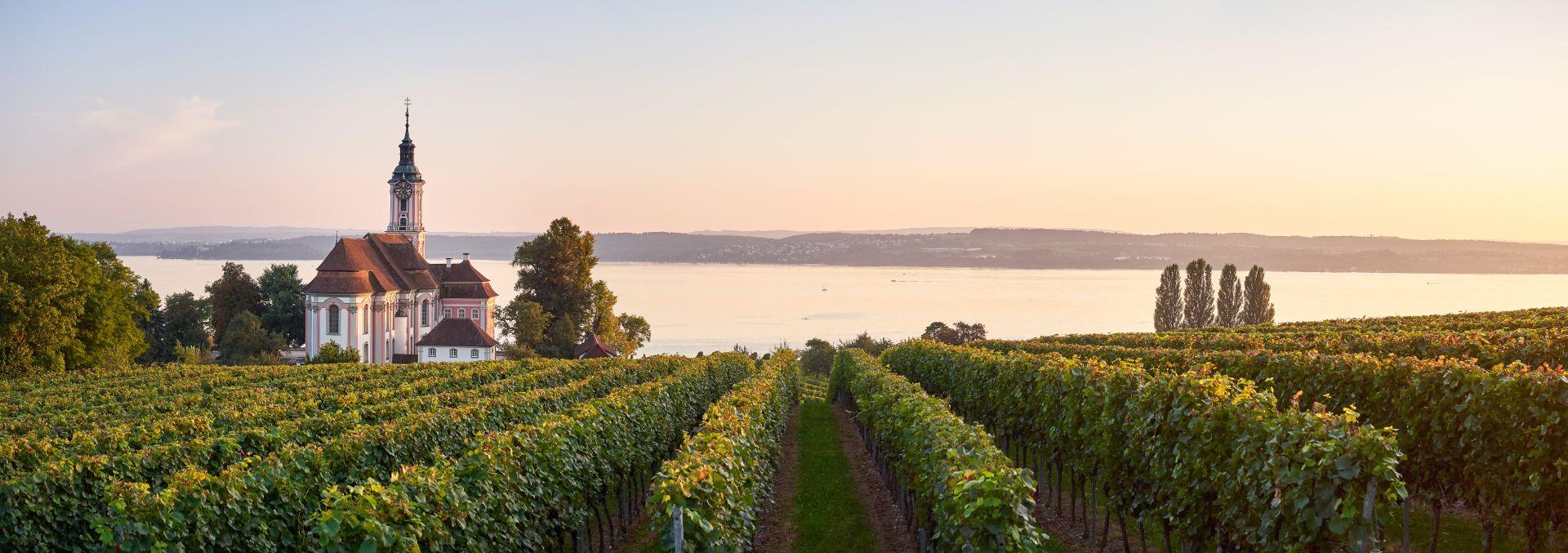 Blick über Weinberge am Bodensee bei Sonnenuntergang mit Barockkirche bei Meersburg